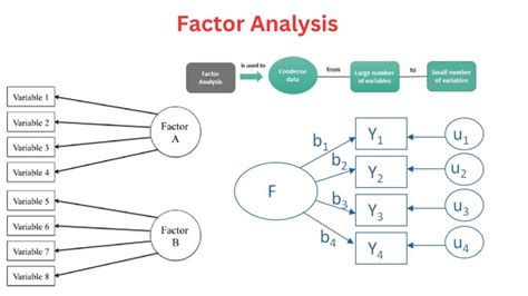  Exploratory Factor Analysis: A Comprehensive Guide for Social Science Research -  Unveiling Latent Variables and Navigating Complex Data Landscapes